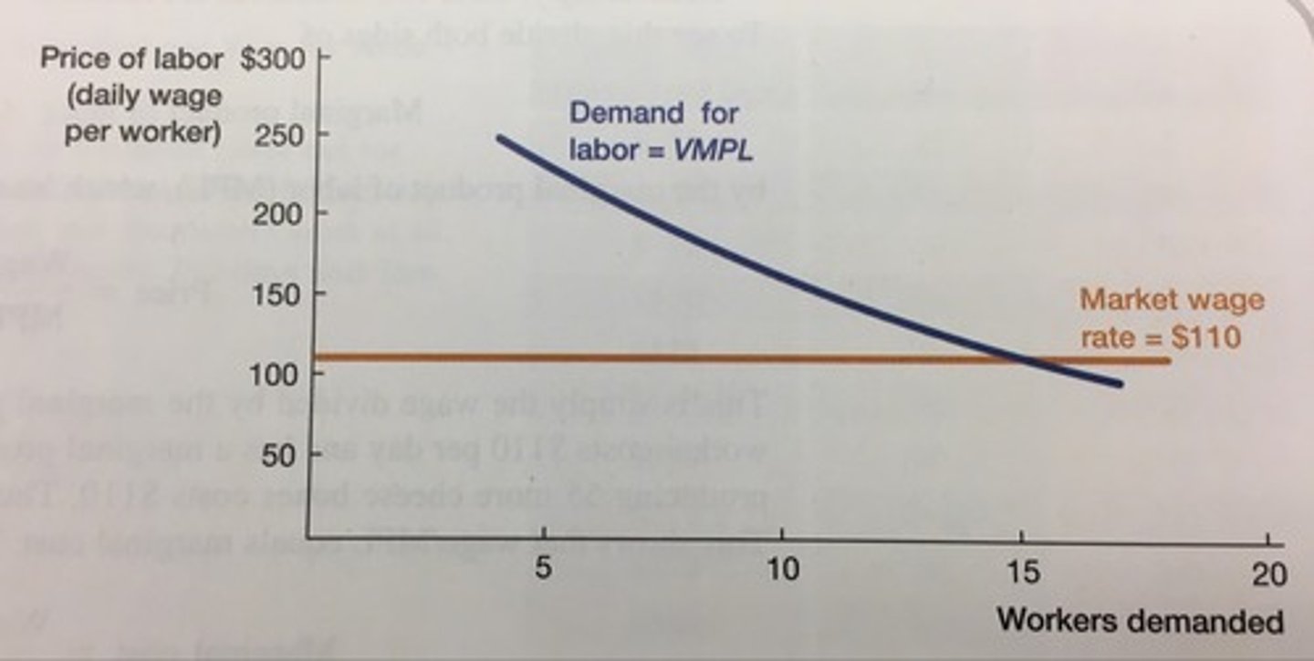 <p>Stop until VMPL = wage OR when VMPL &lt; wage</p>
