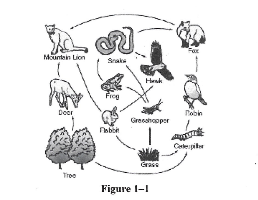 <p>Figure 1-1 illustrates which characteristic of living things?</p>