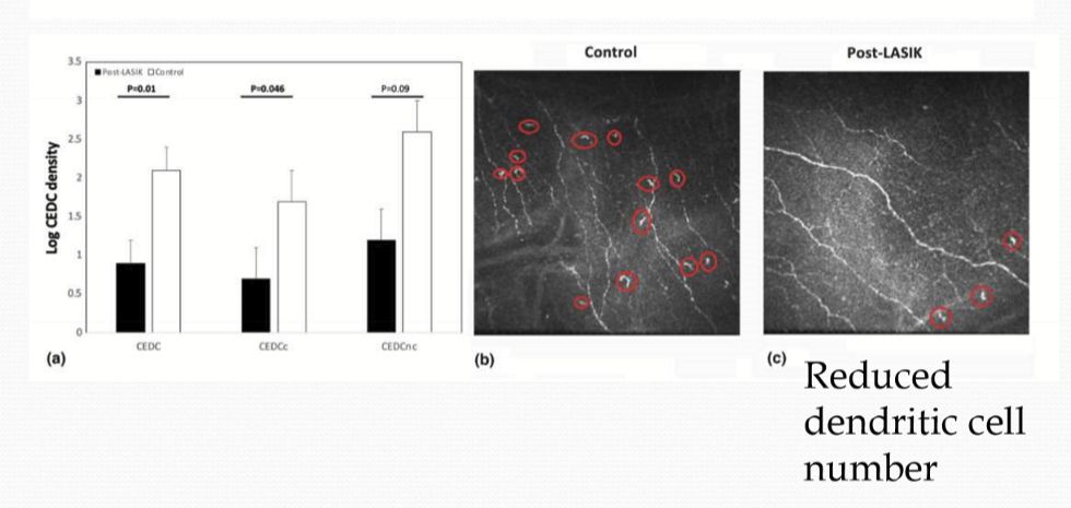 <p>12 months, affecting the corneal epithelial dendritic cells, tear neuropeptides, and corneal nerves </p>