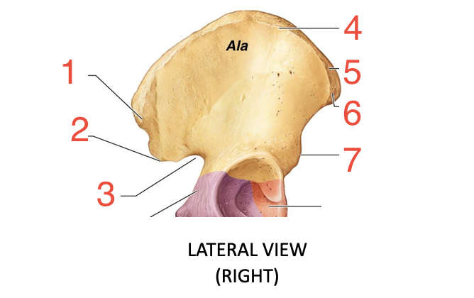 <p>5? </p>
