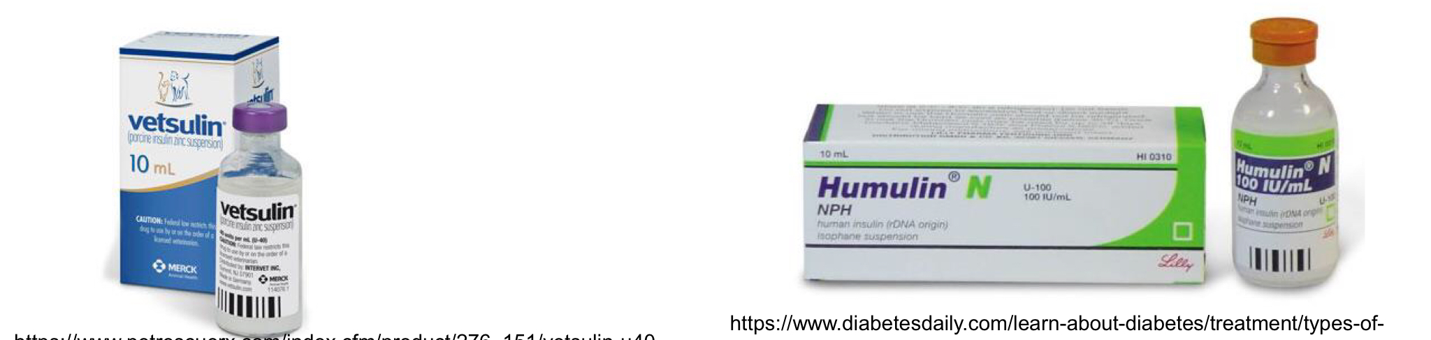 <ol><li><p>NPH (Humulin N, Novolin N less $$)</p></li><li><p>Porcine lente (<u>Vetsulin</u>)</p></li></ol><p></p>