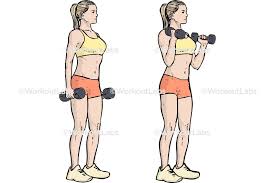 <ul><li><p>Biceps Brachii</p></li></ul><p></p>