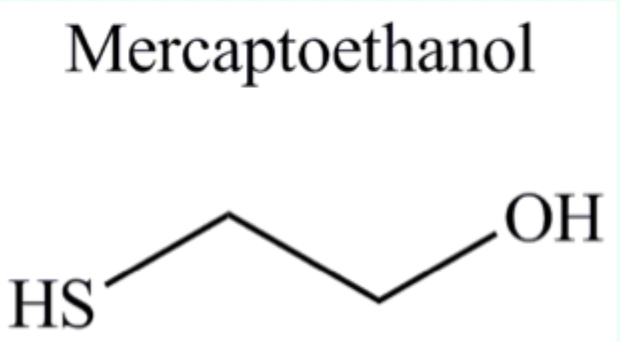 <p>Yes — <strong>small proteins can renature</strong>.</p>