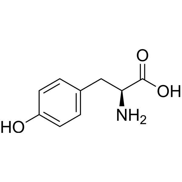 <p>Aromatic group is non-polar &amp; can make hydrophobic interactions; hydroxyl group H can make H-bonding interactions; H on the hydroxyl has a pKa of 10.1 &amp; can be deprotonated; side chain is a phenol group; aromatic and polar, uncharged.</p>