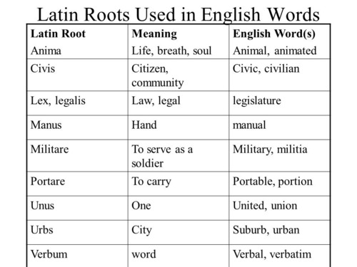 <p>The Romans spoke Latin. Italian, Spanish and French are all based on Latin. Many English words are based on Latin prefixes. Examples - pre- means before post- means after</p>