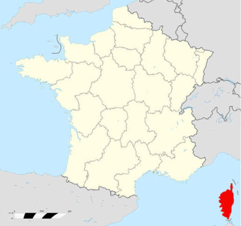 <p></p>
