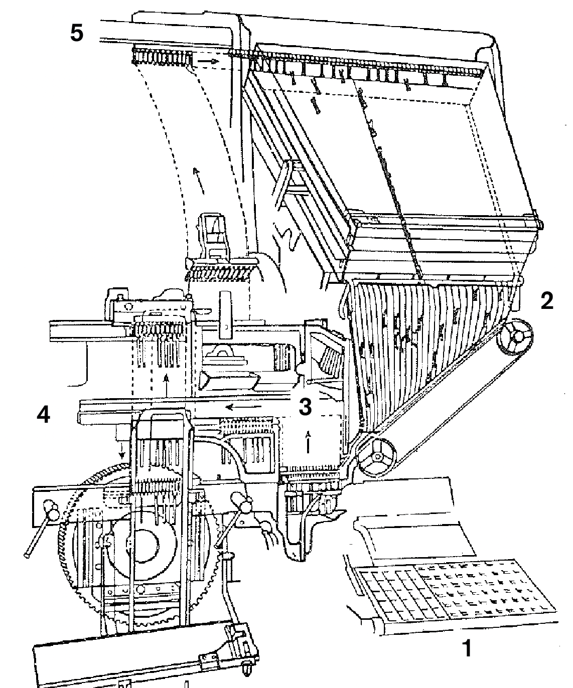 term image