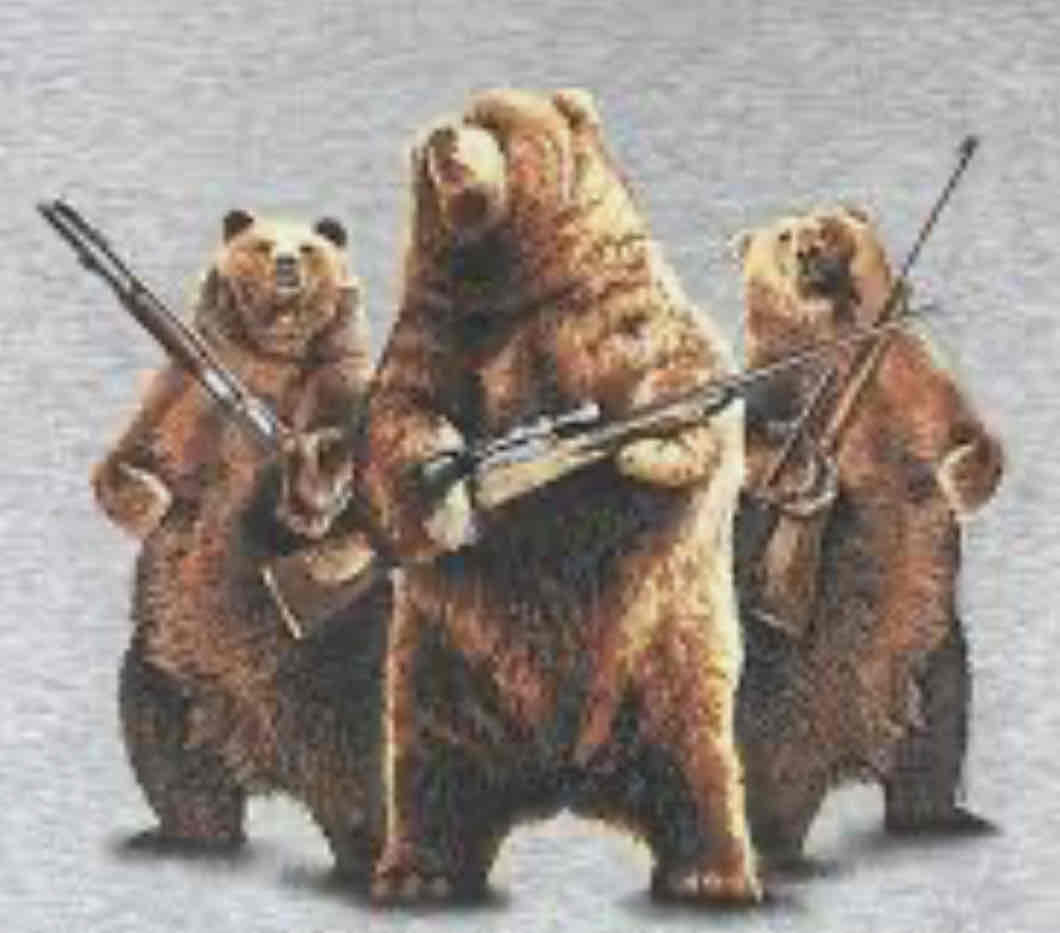 <p>bear arms</p>