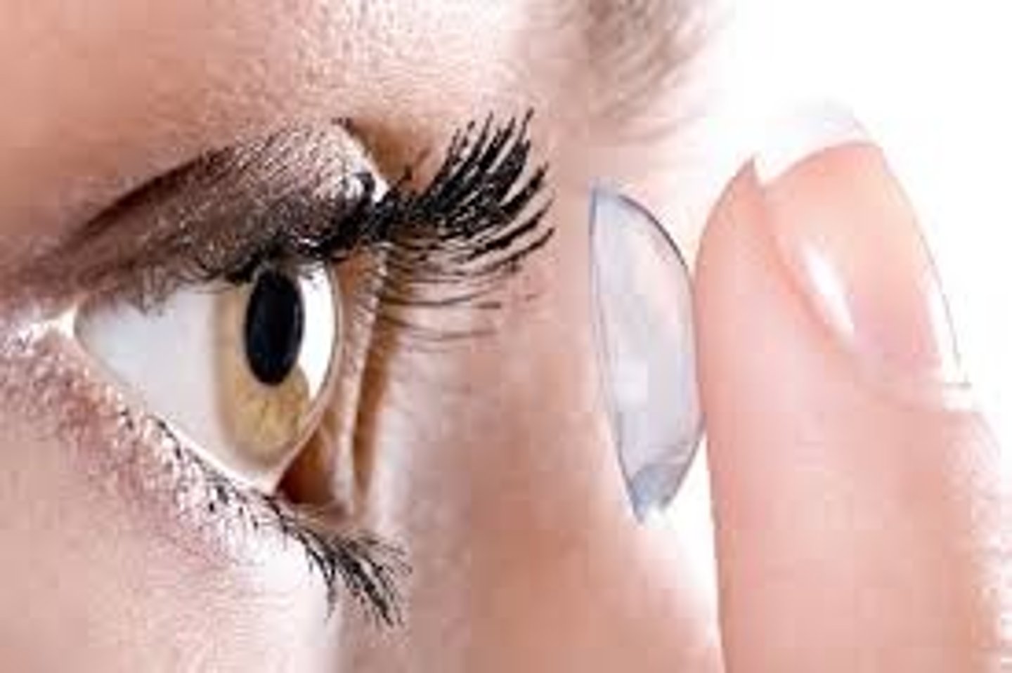 <p>you have contact lenses</p>