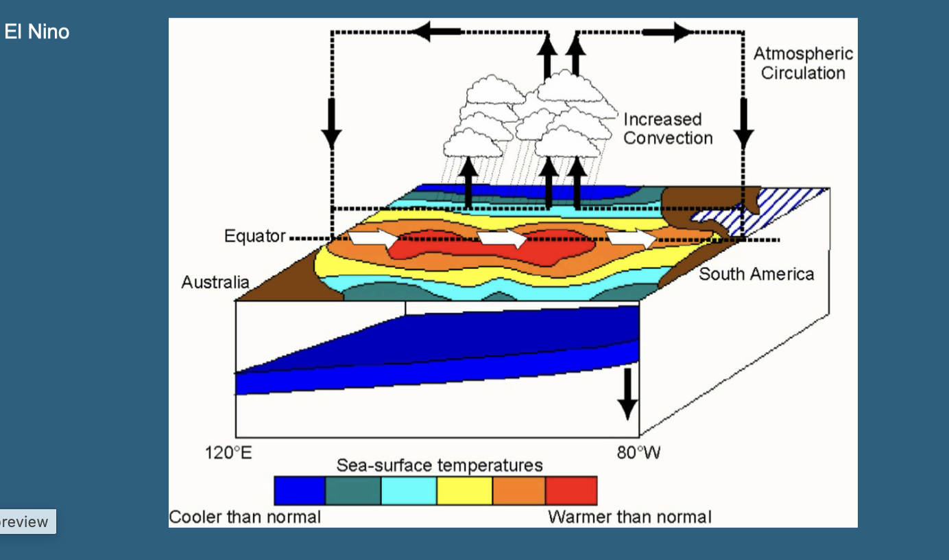 <ul><li><p>A phase where warm water spreads out over the central Pacific, leading to cooler temperatures in the west and a more equalized thermocline across the Pacific. </p></li><li><p>warmth not concentrated in the west +thermocline no longer steep </p></li><li><p>Vallis, 2011</p></li></ul><p></p>