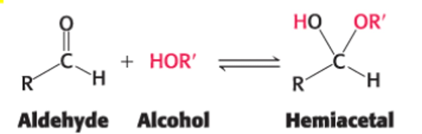 <p>aldehyde + alcohol = hemiacetal</p>
