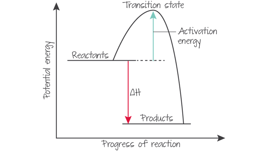 what happens at the transition state? 