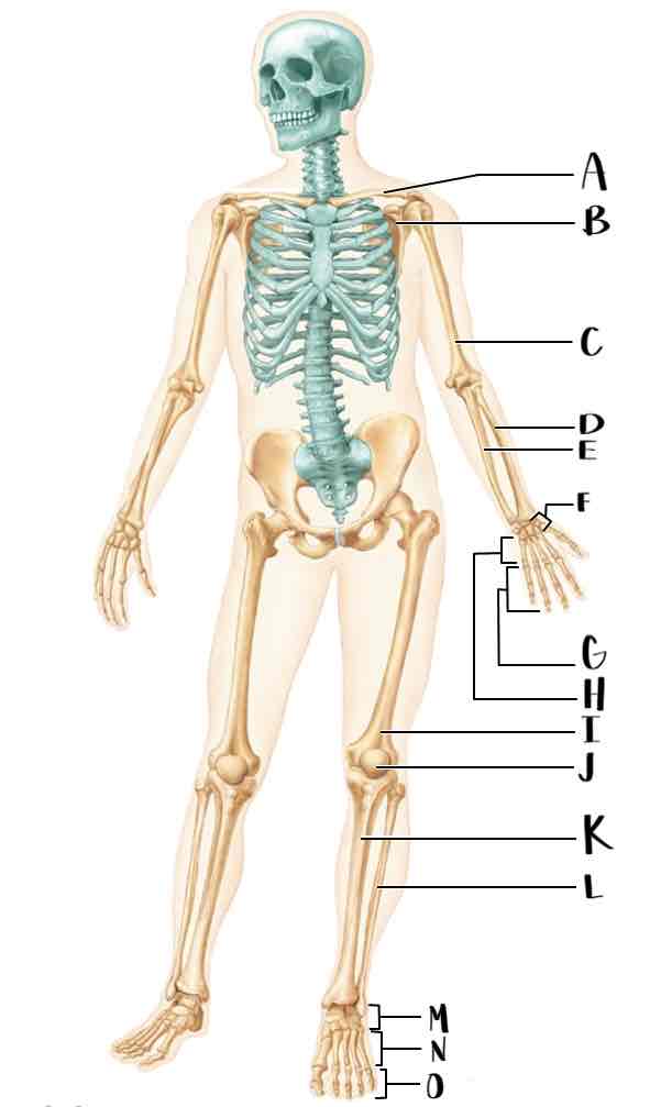 <p>I</p>