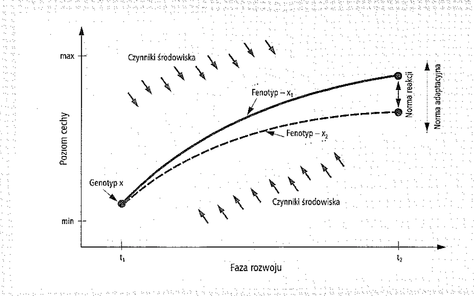 <p>wyraz powszechności rozwoju jednostki</p><p></p>
