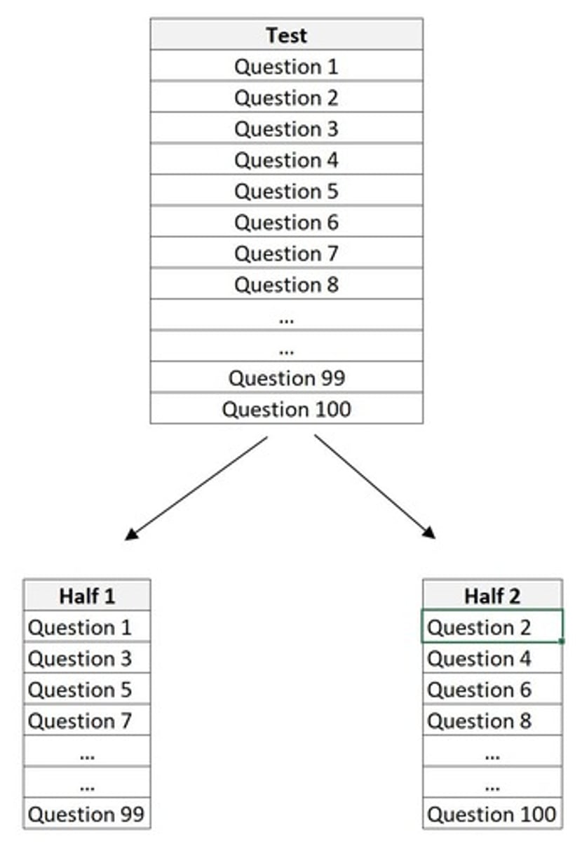 <p>A measure of reliability in which a test is split into two parts and an individual's scores on both halves are compared.</p>