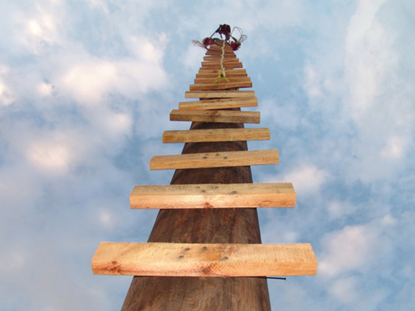 <p>to climb</p>
