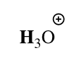 <p>hydronium ion H3O+</p>