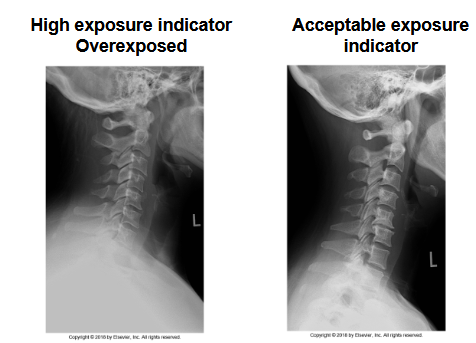 <p>What does this image show</p>