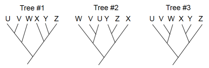 BIS 2C Midterm 1 Flashcards | Knowt