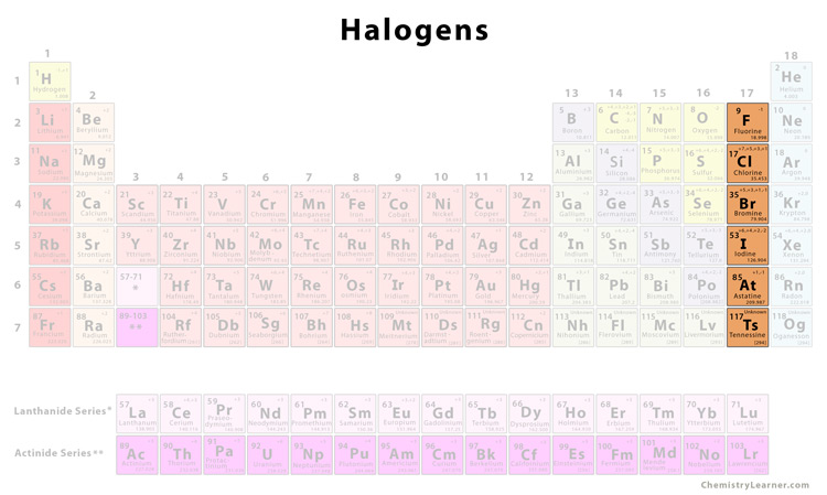 <p>Halogens</p><p>The elements in the 17th group of the periodic table, including Fluorine, Chlorine, Bromine, Iodine, Astatine, and Tennessine. Form anions with a charge of 1-. Are brittle when solid, have low melting/boiling points, and become less reactive as you go down the group, due to having less attraction to pull in electrons as there are more outer shells in the way</p>