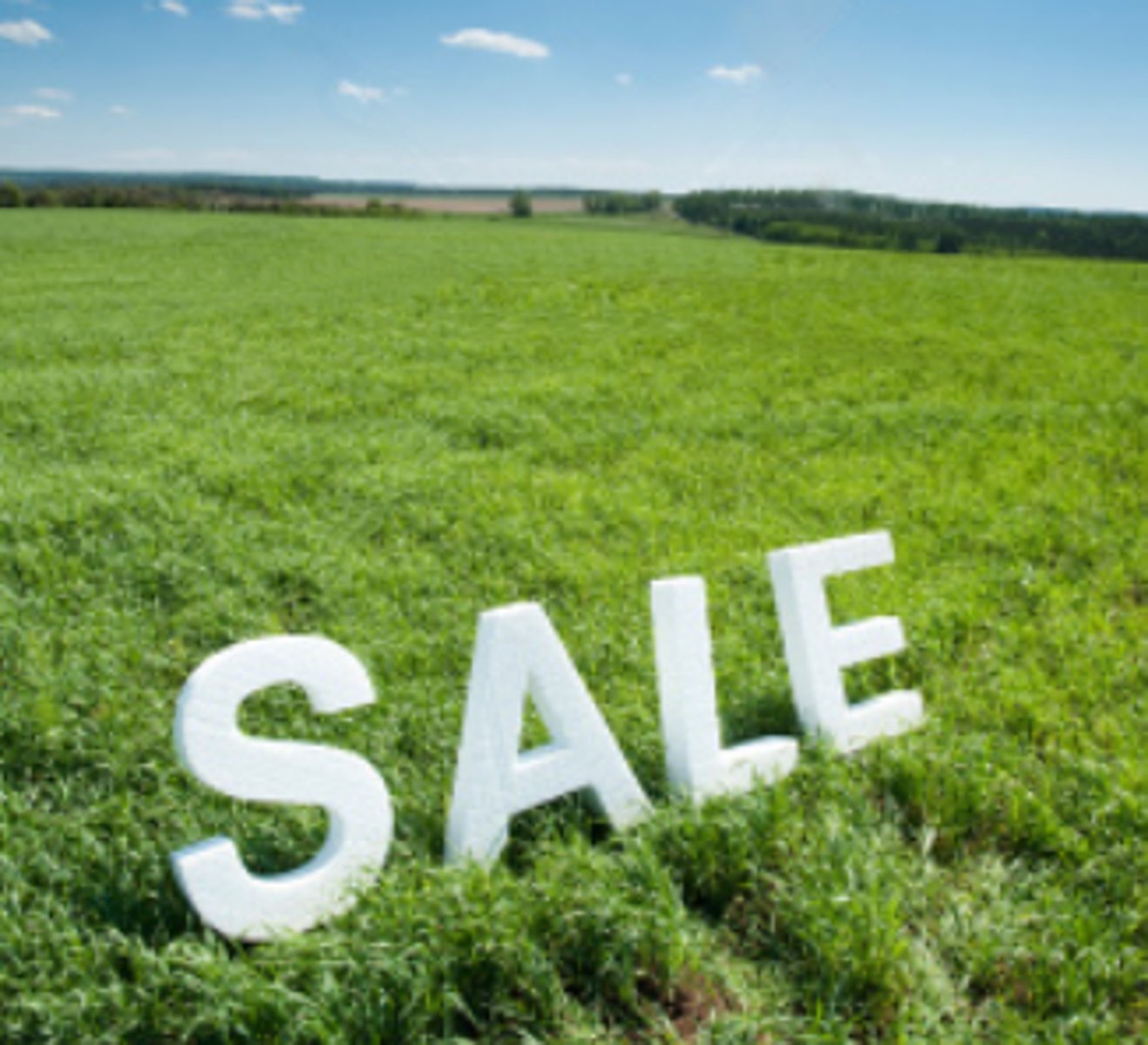 <p>In 1796, this act established orderly procedures for dividing and selling federal lands at reasonable prices. (p. 113)</p>