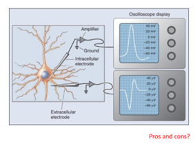 <p> (A technique that measures voltage changes across the cell membrane by comparing the voltage inside versus outside; 1-100mV</p>