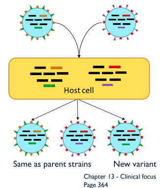 <p>What is antigenic shift?</p>