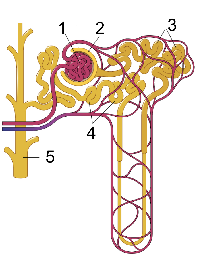 <p>What is number 1</p>