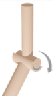 <p>Hinge joints</p>