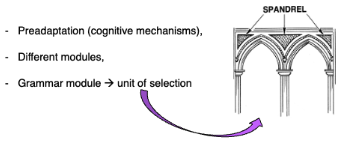 <p class=""><span data-name="dna" data-type="emoji">🧬</span> <strong>Language as a gradual adaptation</strong> shaped by <strong>natural selection</strong><br>→ Not a sudden mutation, but evolved like other complex traits.</p><p></p><p> <span data-name="brain" data-type="emoji">🧠</span> <strong>Key Ideas</strong>: </p><ul><li><p class=""><strong>Preadaptation</strong>:</p><ul><li><p class="">Language built on earlier <strong>cognitive mechanisms</strong> (ex. memory, imitation)</p></li></ul></li><li><p class=""><strong>Modularity</strong>:</p><ul><li><p class="">The mind has <strong>specialized modules</strong> (ex. vision, language, social reasoning)</p></li></ul></li><li><p class=""><strong>Grammar module</strong>:</p><ul><li><p class="">Treated as a potential <strong>unit of selection</strong>—it evolved because it helped survival/reproduction.</p></li></ul></li></ul><p></p><p> <span data-name="classical_building" data-type="emoji">🏛</span> SPANDREL metaphor: </p><ul><li><p class="">Not all features are <strong>directly selected for</strong>—some (like certain aspects of grammar) may be <strong>by-products</strong> (spandrels) of other adaptations.</p></li></ul><p></p>