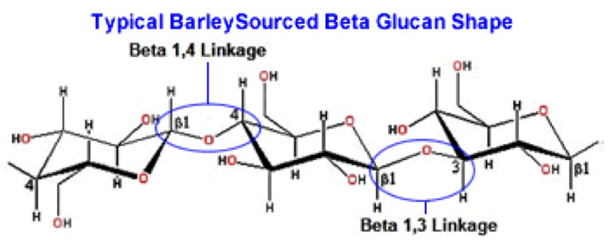 <p>1→4 beta linkage (alternating)</p>