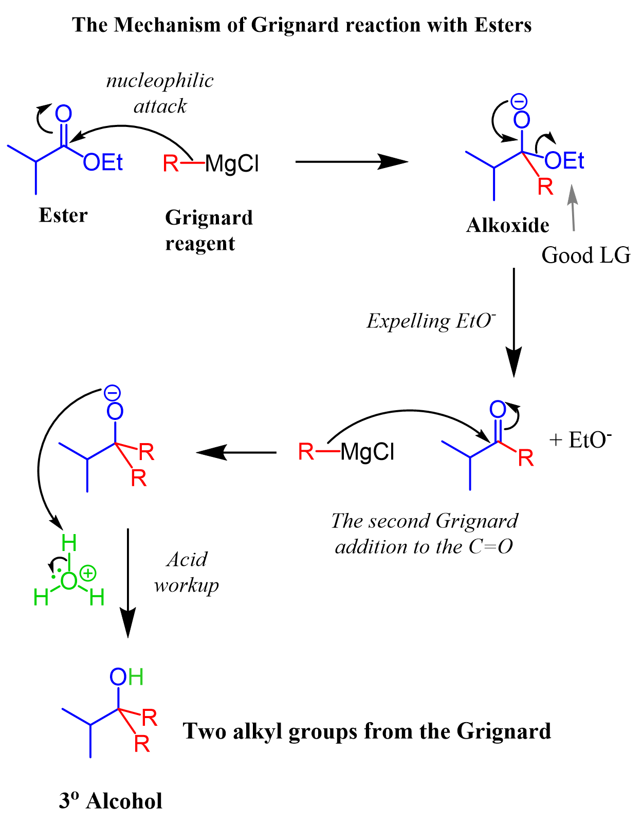 <p><strong>STARTING MATERIAL: </strong>Ester </p><p><strong>REAGENTS: </strong></p><ol><li><p>H-MgBr </p></li><li><p>H2O</p></li></ol><p></p>