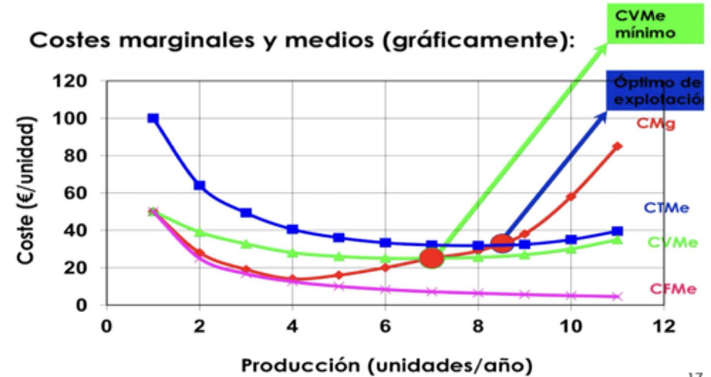 <p>en el punto mínimo de la curva de CVMe</p><p>(punto óptimo de explotación)</p>