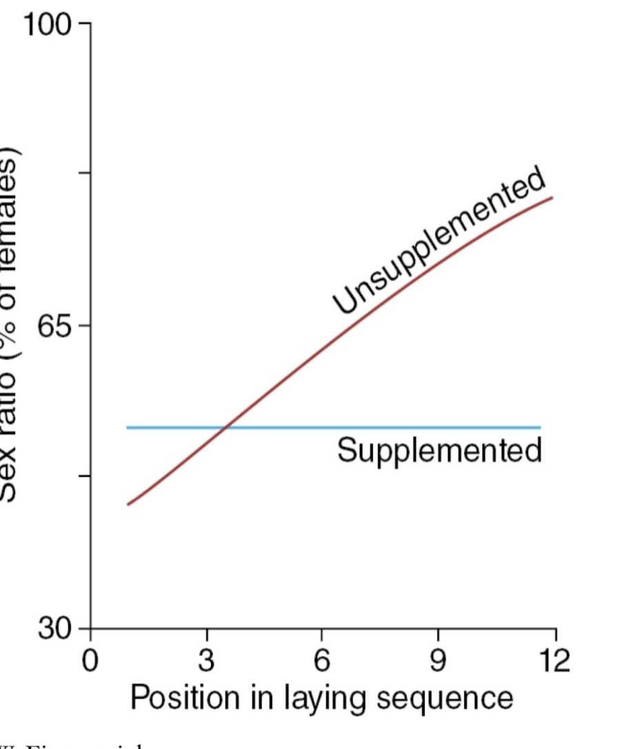 <p>When only a few males reproduce, females in good condition produce more males. When only a few males reproduce females are more selective of fit individuals.</p>