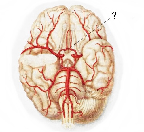 connects the right and the left anterior cerebral arteries