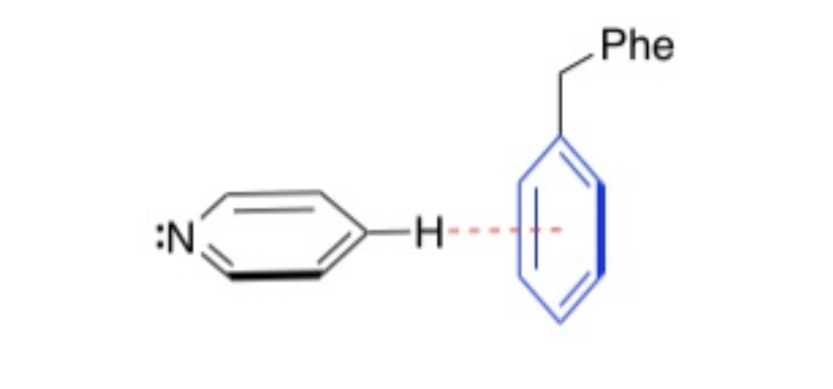 <p>What is this noncovalent interaction called?</p>