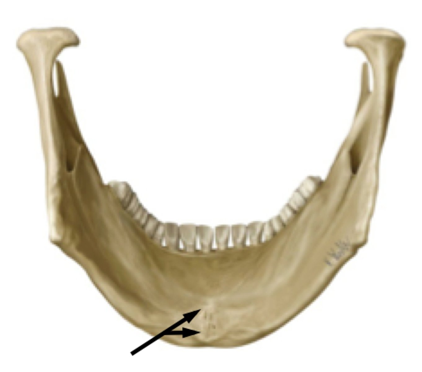 <p><em>identify the structure:</em></p>