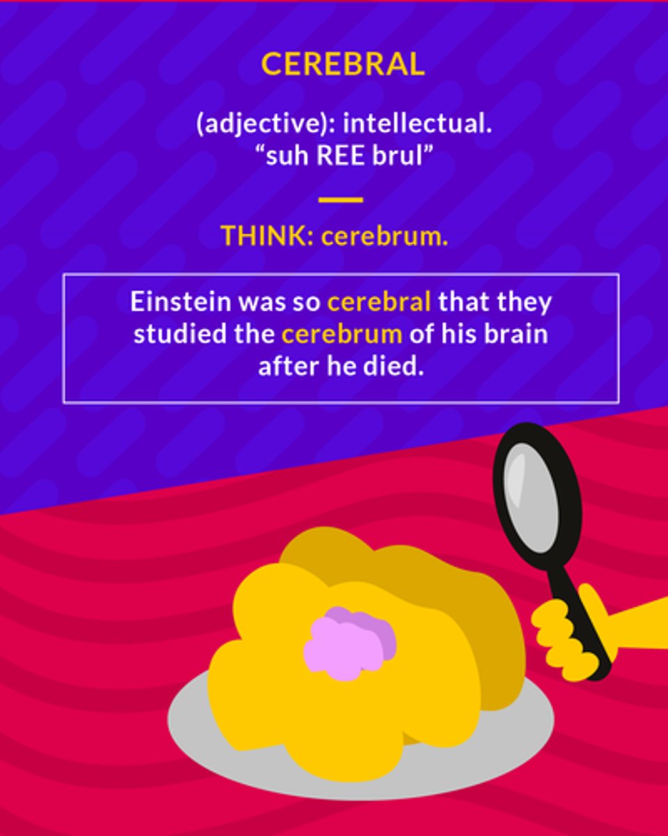 <p>(adj.) intellectual</p>