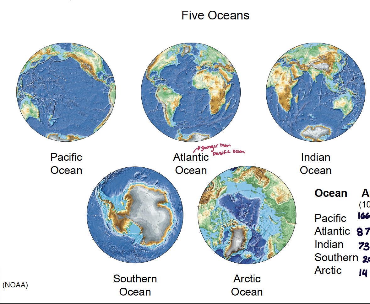 <ol><li><p>Pacific Ocean: area = 166 million km<sup>2</sup>; depth (average) = 4282 m</p></li><li><p>Atlantic Ocean: area = 87 million km<sup>2</sup>; depth = 3926 m</p></li><li><p>Indian Ocean: area = 73 million km<sup>2</sup>; depth = 3963 m</p></li><li><p>Southern Ocean: area = 20 million km<sup>2</sup>; depth = 4000 m</p></li><li><p>Ocean: area = 14 million km<sup>2</sup>; depth = 1205 m</p></li></ol><p></p>
