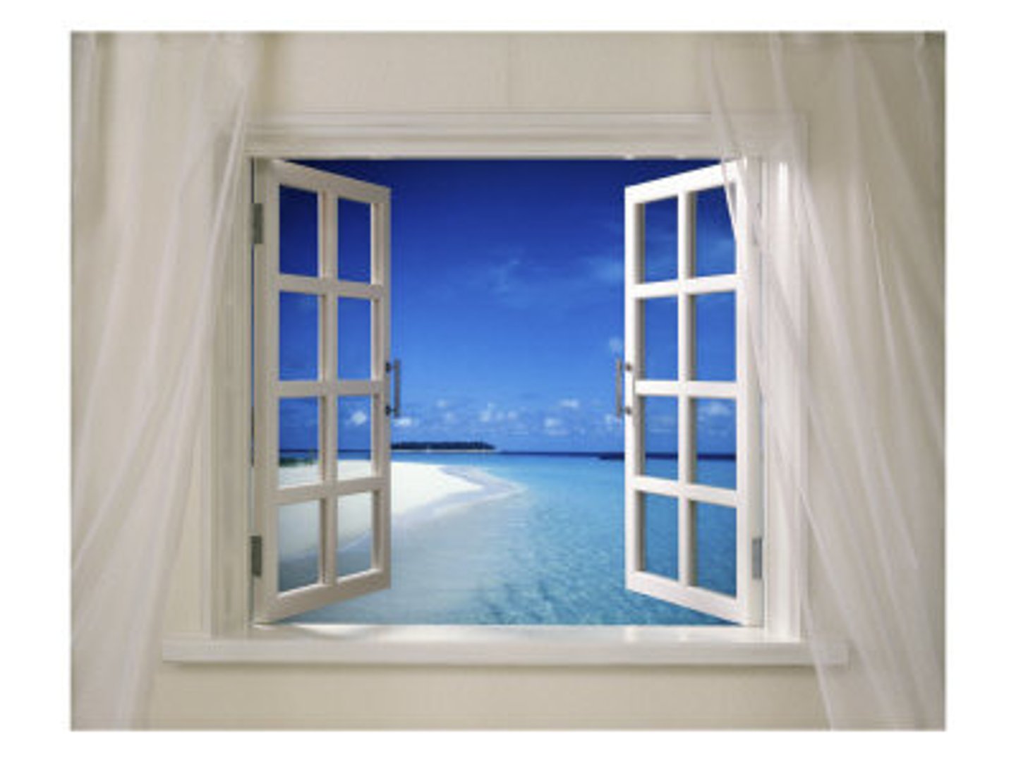 <p>window</p>