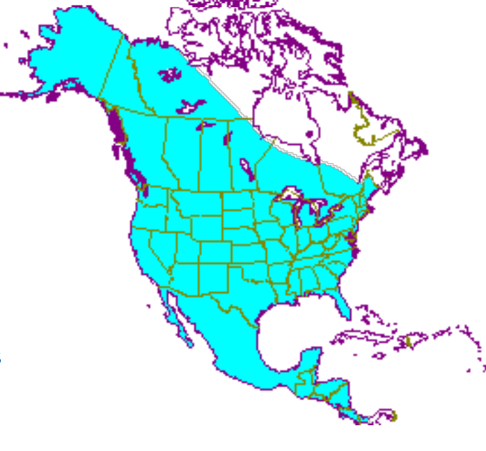 <p>Which species fits the following habitat and management concerns?<br>Habitat: Wide distribution, habitat generalists</p><p>Management issues: Prey on agricultural pests; may carry rabies; threat to poultry, livestock, crops; compete with hunters for deer, rabbits, and several other game species</p>
