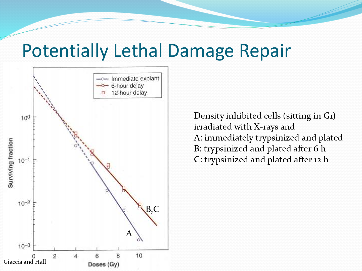 <p>Cells are assessed for survival and repair efficiency. results are recorded on a graph </p>