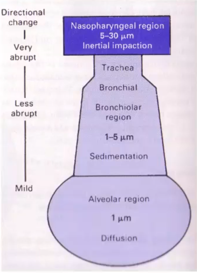 <p>what does this diagram show you?</p>