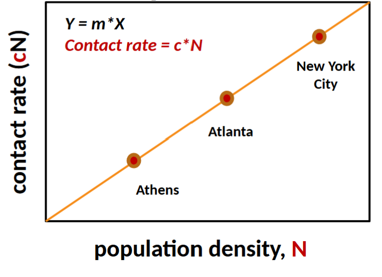 <p>contact rate between individuals increases with density of hosts (often assume a linear relationship)</p><p>threshold population size for invasion exists</p><p>R0 increases with N</p>