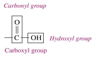 \-carboxylic acid contains a carboxyl grou consists fo hydroxyl group (-OH) attached to the carbon in carbonyl group (C=O) 

\-con carbon in carboxyl group as first carbon