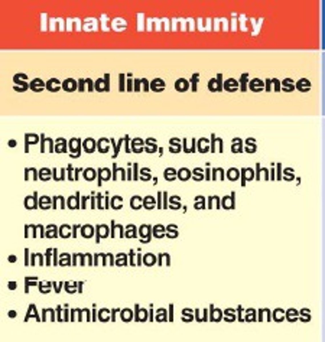 <p>nonspecific internalized system of protective cells inflammation and phagocytosis. innate immunity.</p>