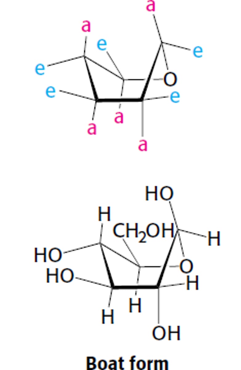 <p>due to steric hindrances</p>