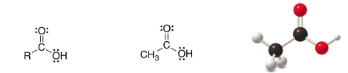 <p>SP<sup>2</sup> Carbon</p>