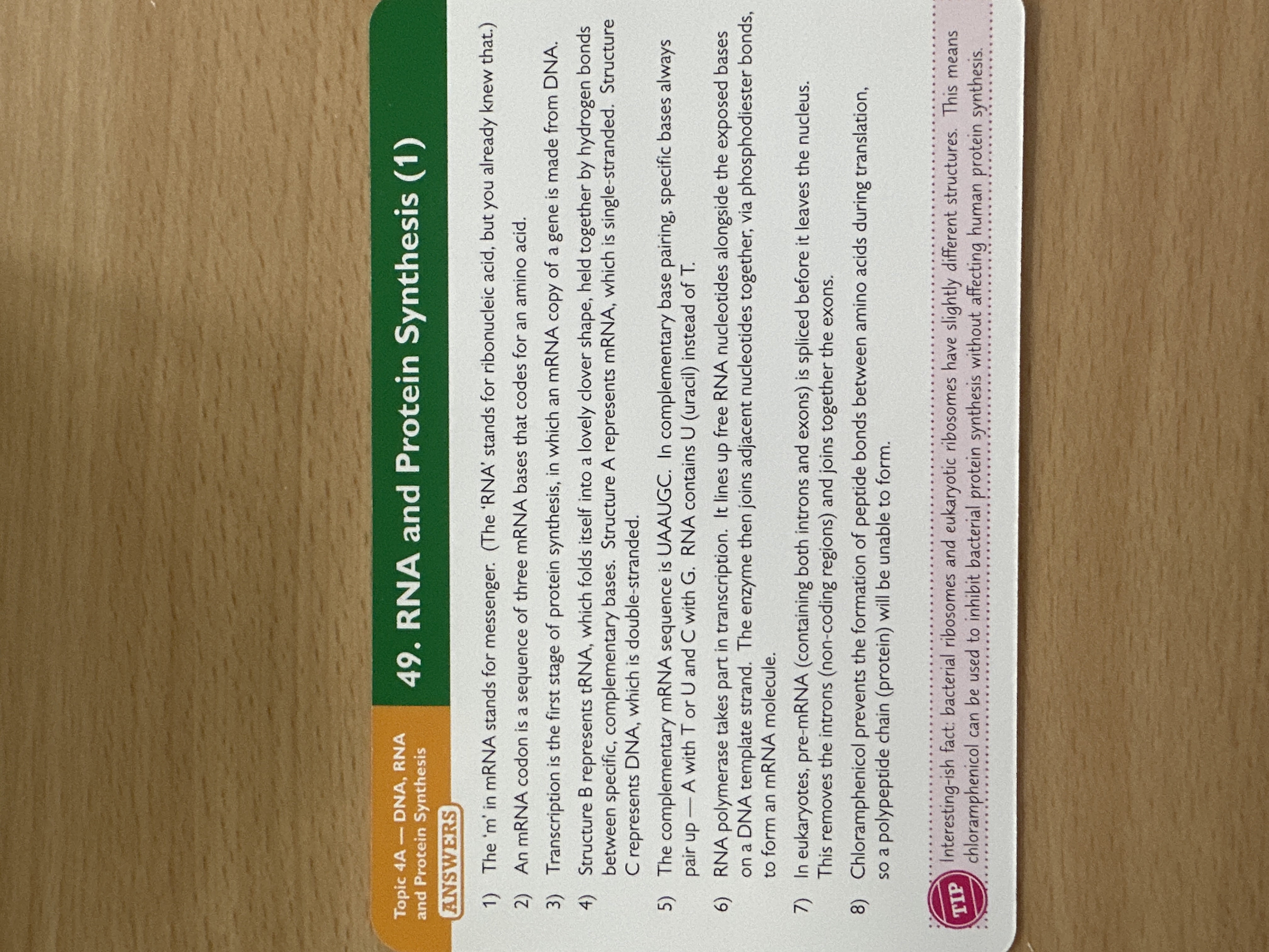 knowt flashcard image