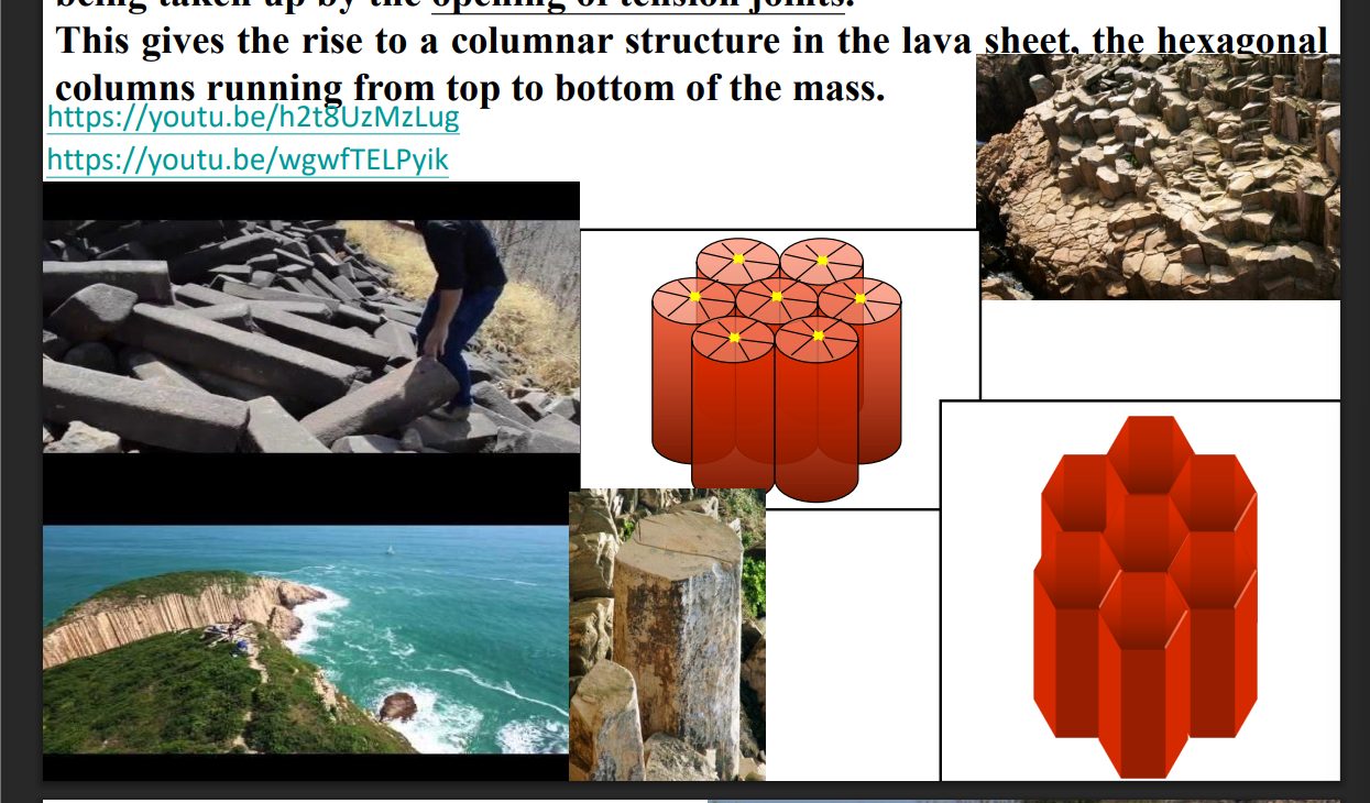 <p>In extrusive igneous rocks like basalt, <strong>joints form as the hot lava cools and contracts</strong>. The contraction creates <strong>tensile stresses</strong>, causing the rock to fracture into <strong>vertical hexagonal columns</strong>. These are called <strong>columnar joints</strong>, and they form <strong>perpendicular to the cooling surface</strong>.</p>